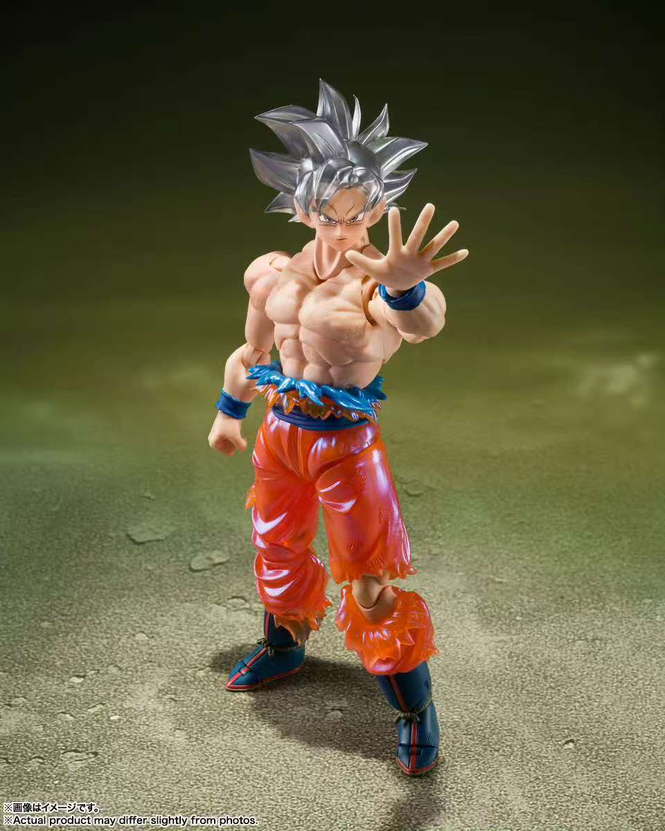 สินค้าพร้อมส่ง Bandai Dragon B - Bandai Tamashii Nations S.H.Figuarts บทวิจารณ์และราคา