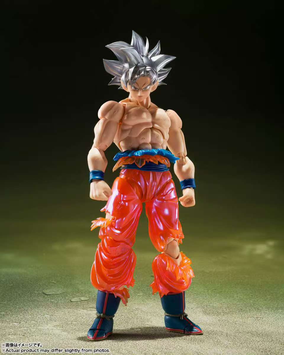 สินค้าพร้อมส่ง Bandai Dragon B - Bandai Tamashii Nations S.H.Figuarts บทวิจารณ์และราคา